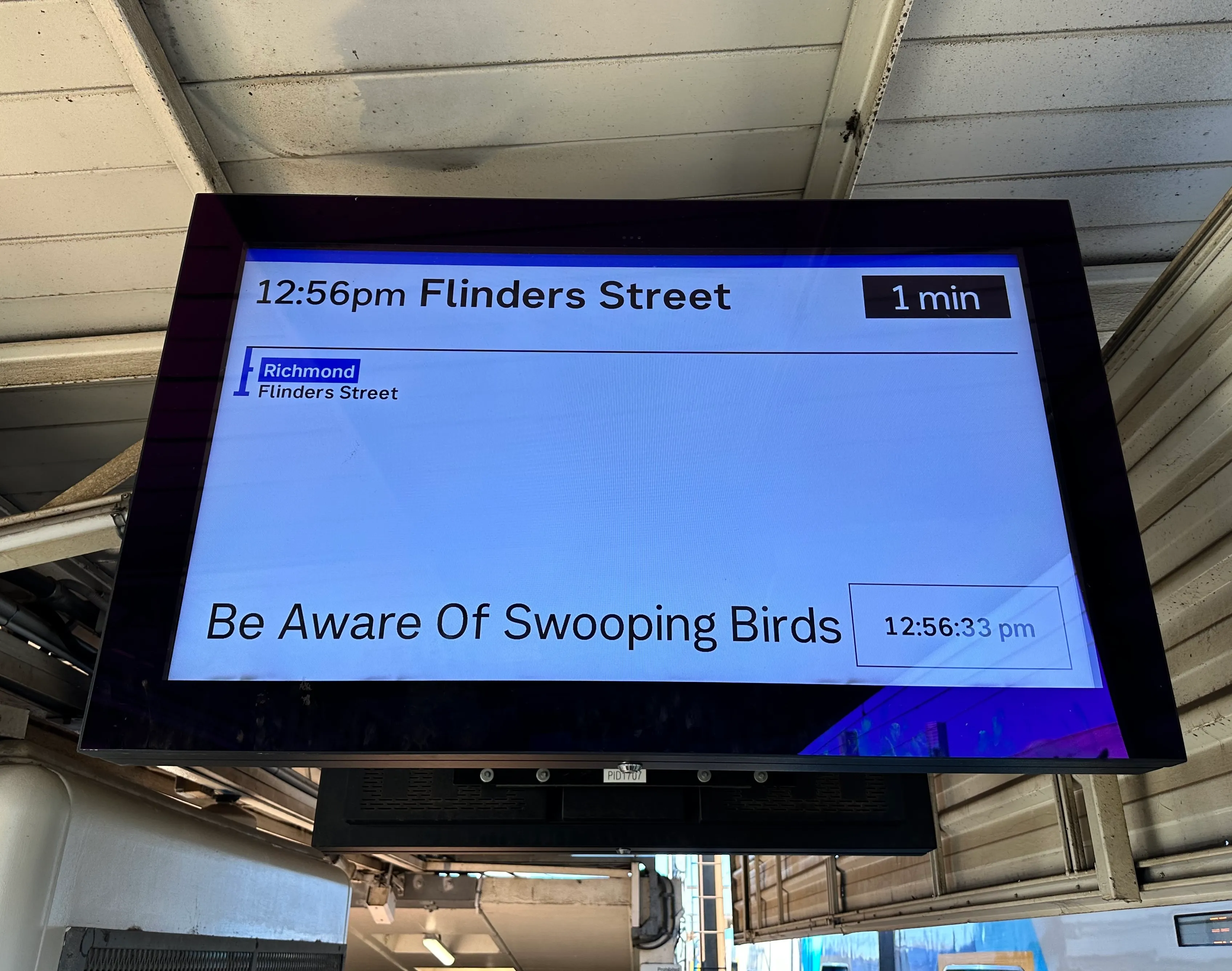 A sign at a train station warning of swooping birds