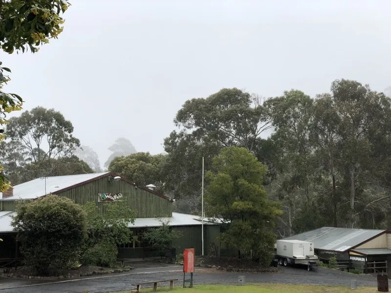 A campground in fog