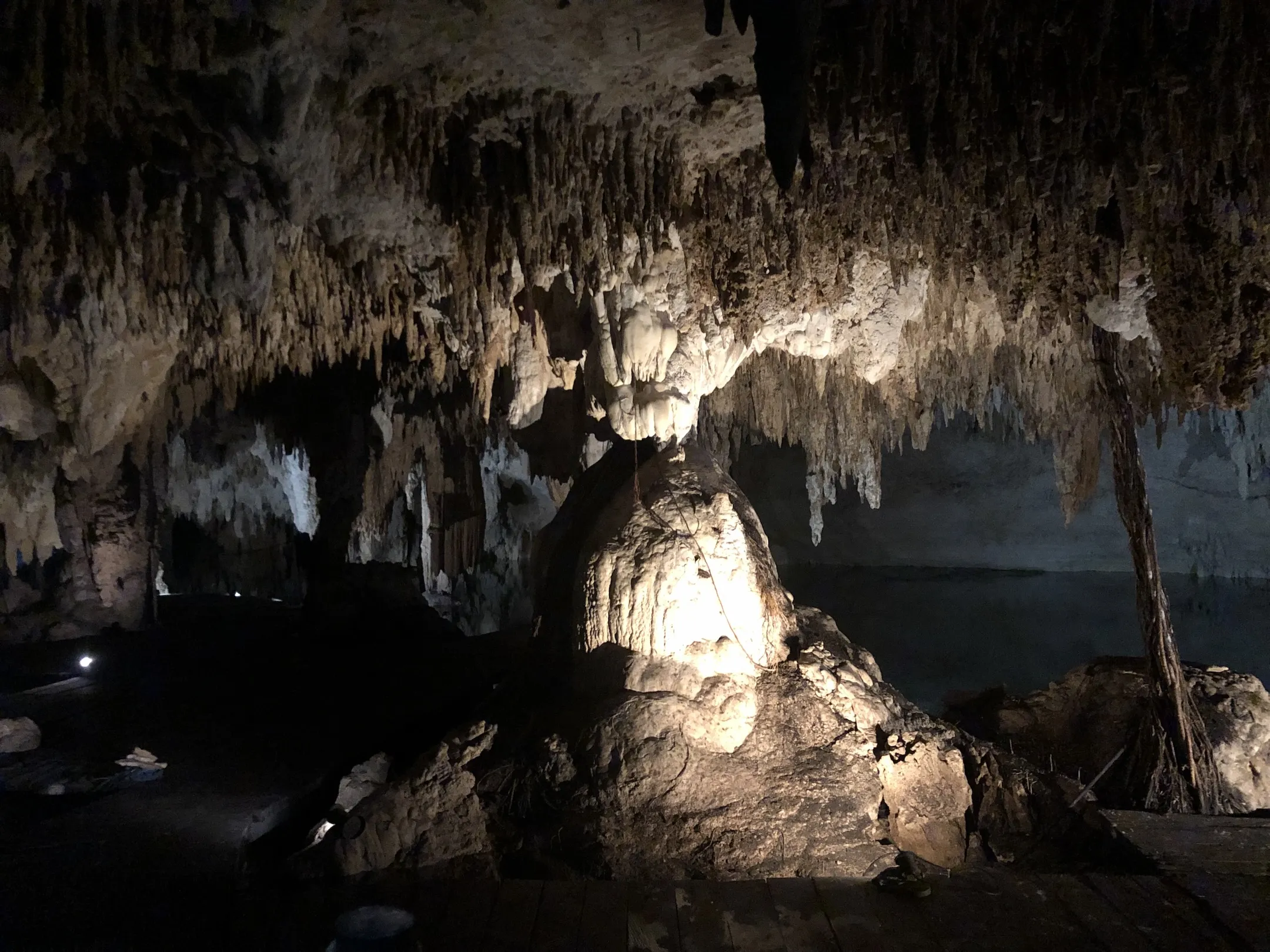 Stalactites in a cave