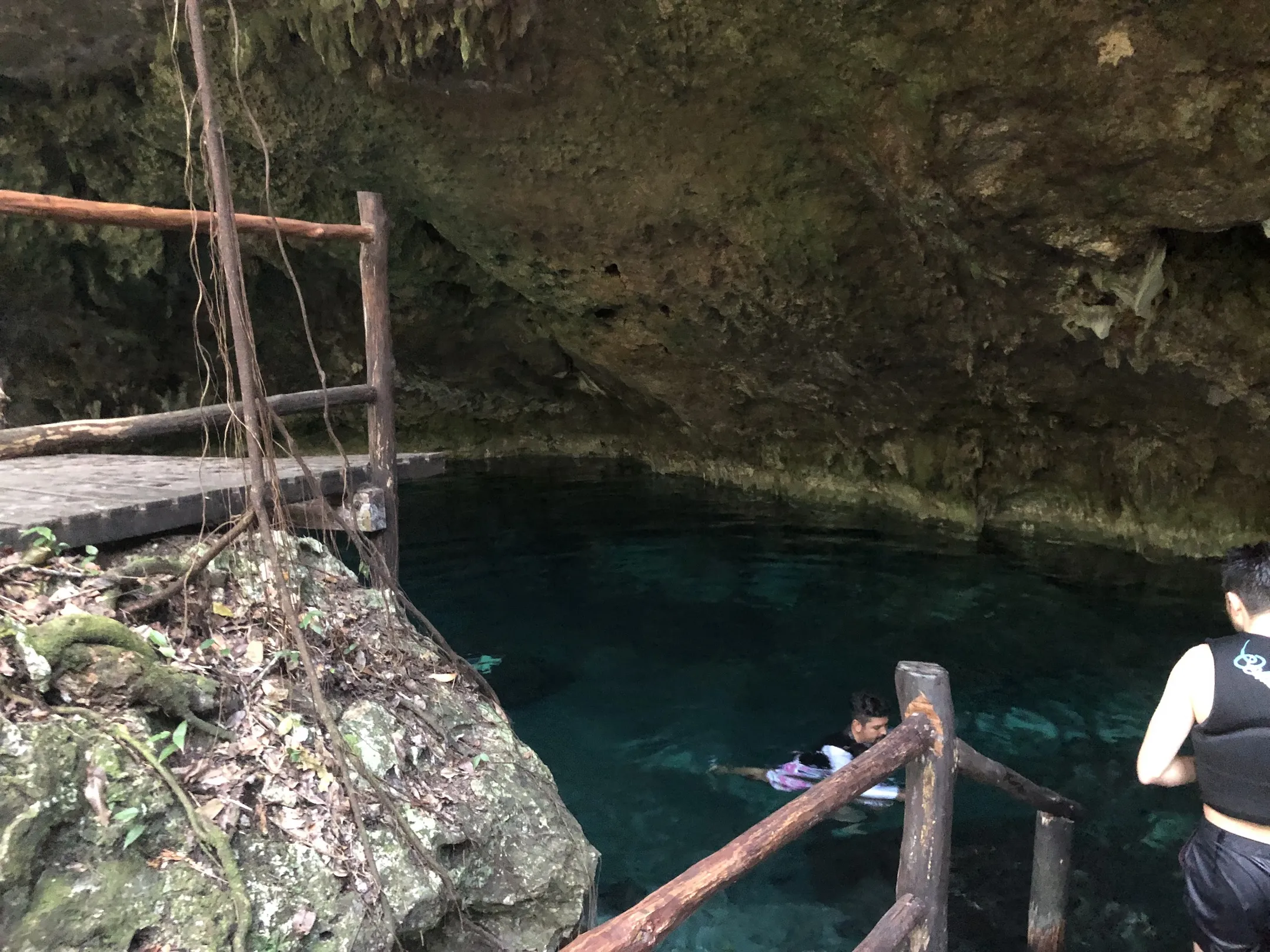 People swimming in a cenote