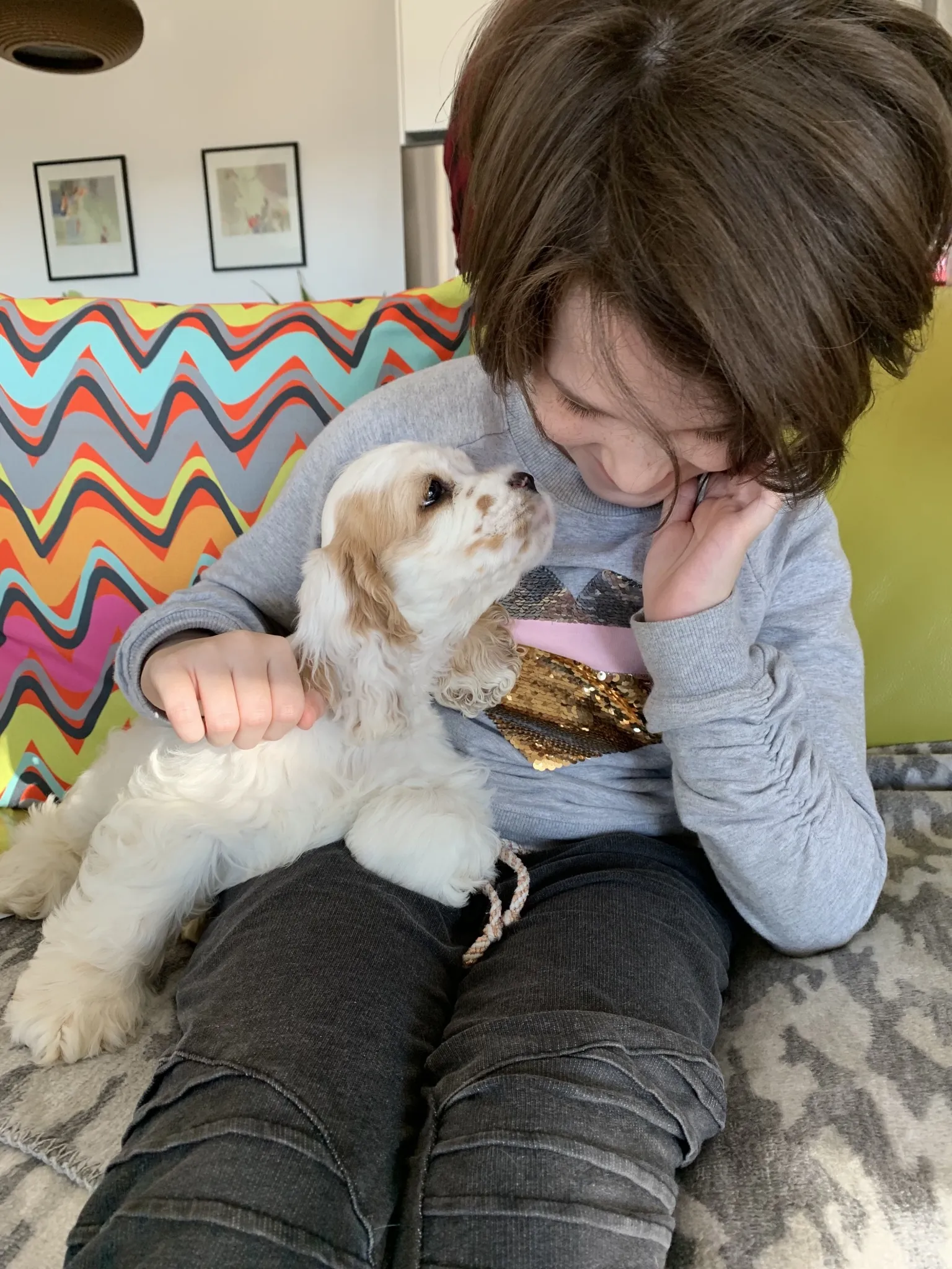 A puppy on a child&#x27;s lap